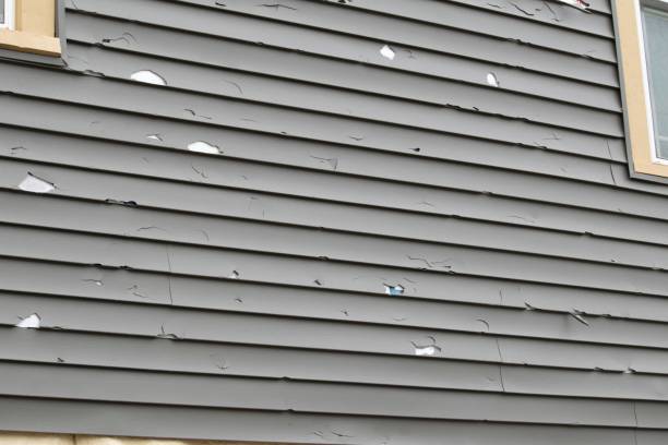 Best Vinyl Siding Installation  in Vivian, LA